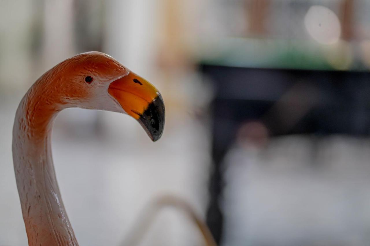 Housewood Villas アムリトサル エクステリア 写真